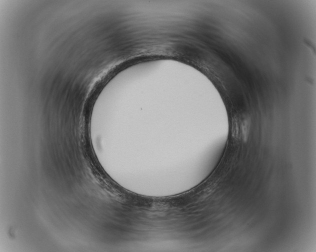 X0000102870388200809081210