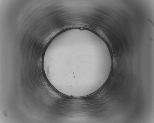 X0000102870389200809081210