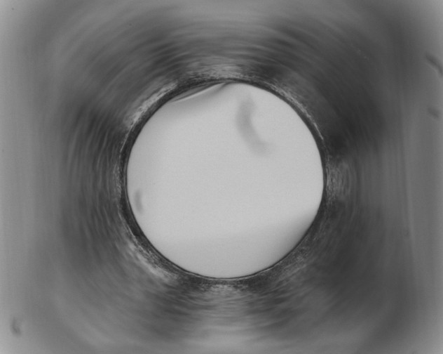 X0000102870390200809081210