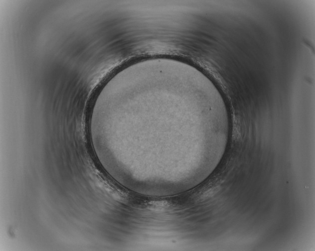 X0000102870391200809081210