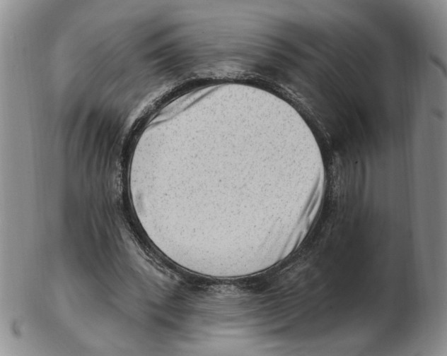 X0000102870392200809081210