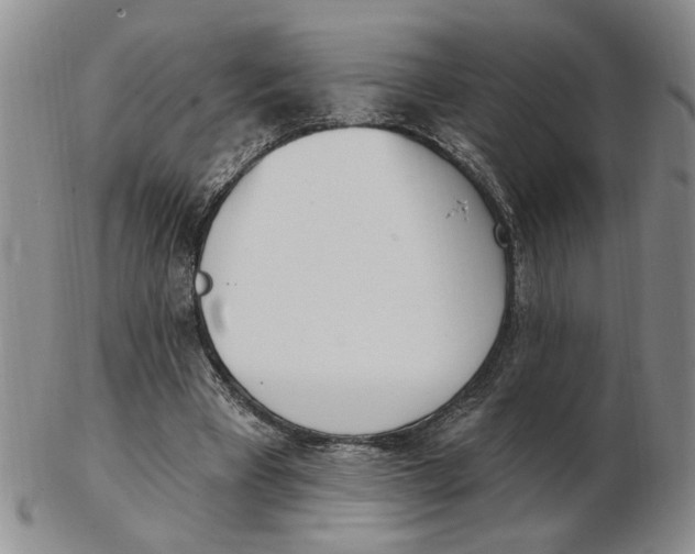 X0000102870393200809081210