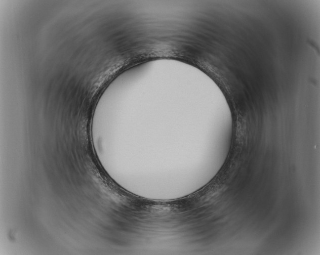 X0000102870394200809081210