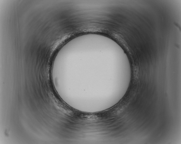 X0000102870395200809081210