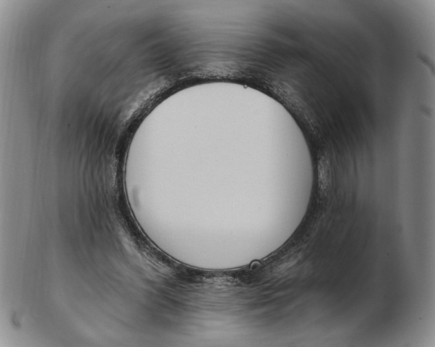 X0000102870396200809081210