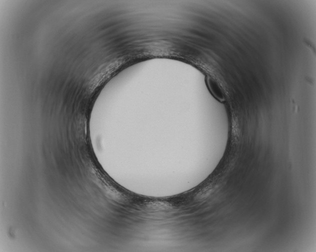 X0000102870397200809081210