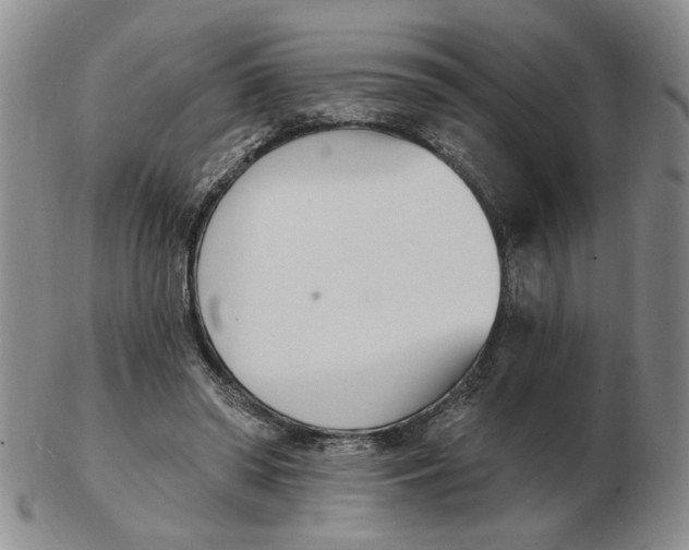 X0000102870398200809081210