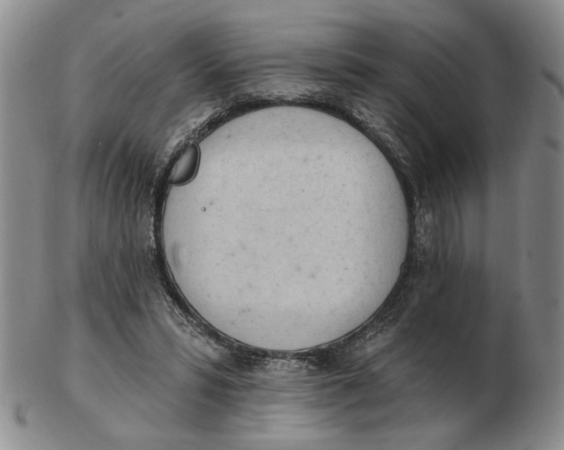 X0000102870399200809081210