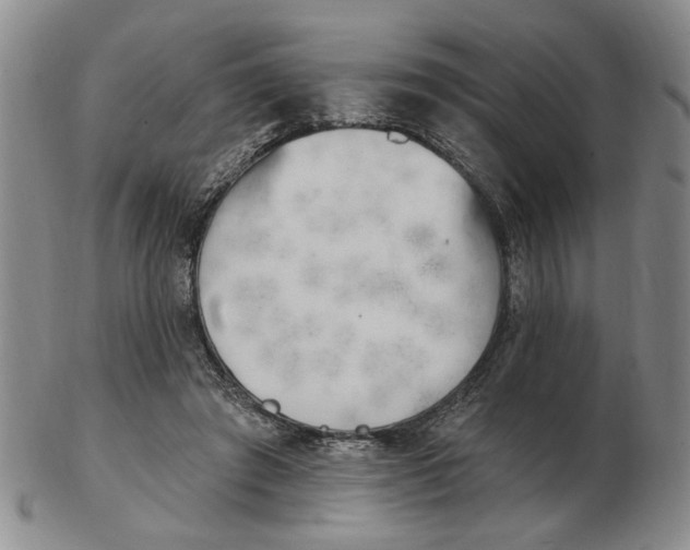 X0000102870401200809081210