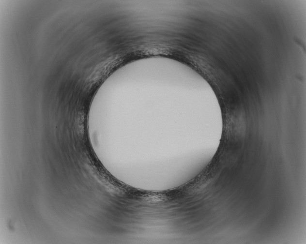 X0000102870402200809081210