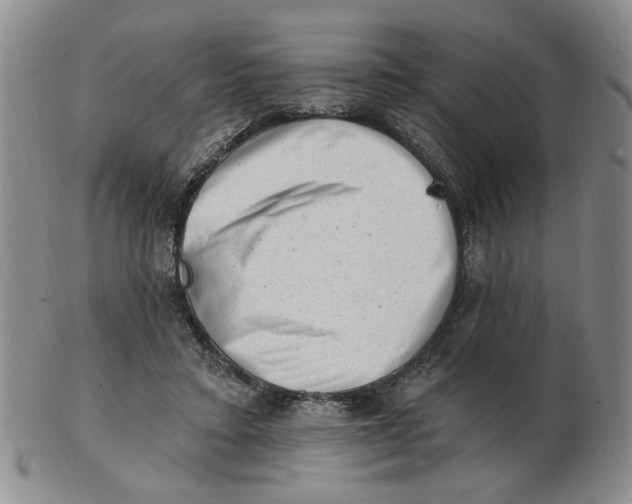 X0000102870403200809081210