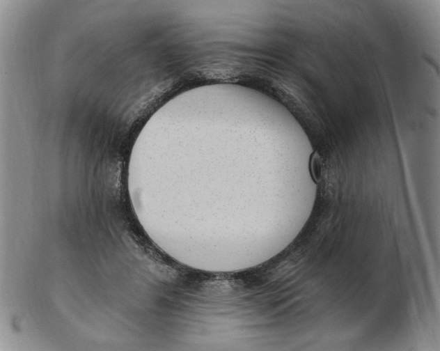 X0000102870404200809081210