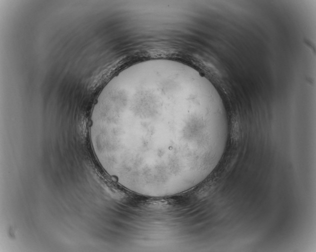 X0000102870405200809081210