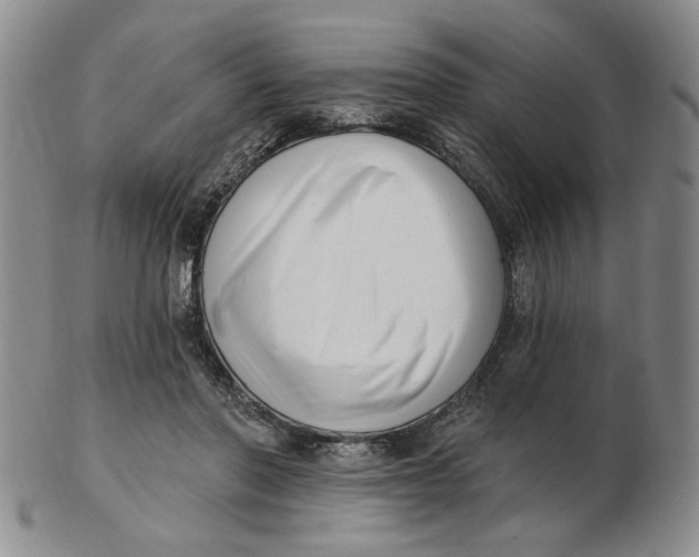 X0000102870406200809081210