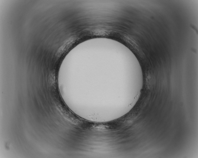 X0000102870407200809081210