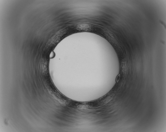 X0000102870408200809081210