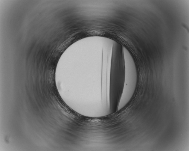 X0000102870409200809081210