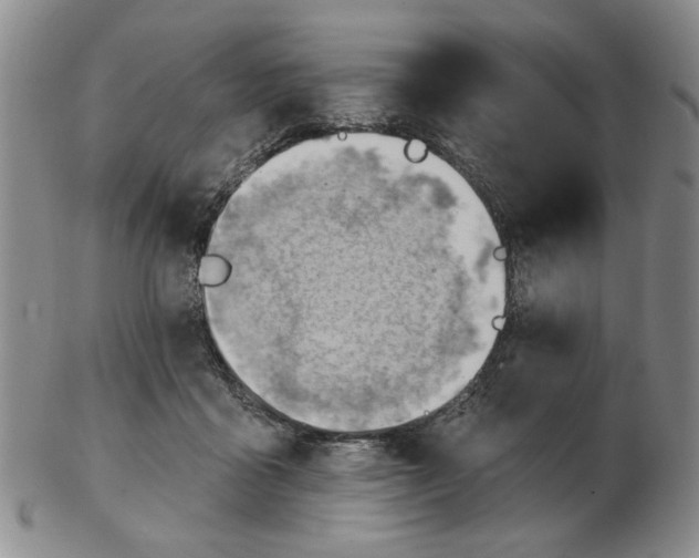 X0000102870411200809081210