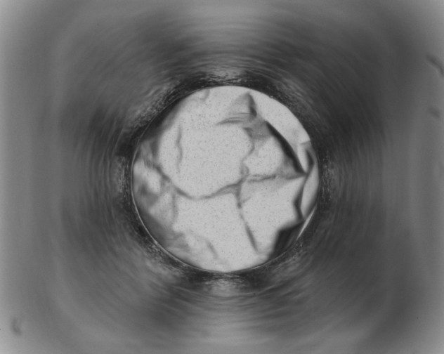 X0000102870412200809081210