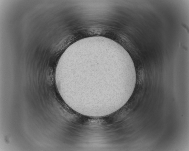 X0000102870414200809081210