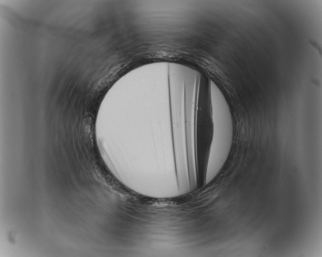 X0000102870415200809081210