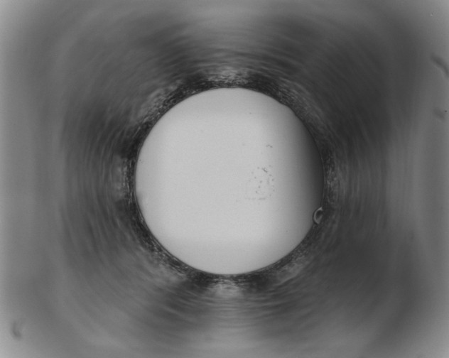 X0000102870416200809081210