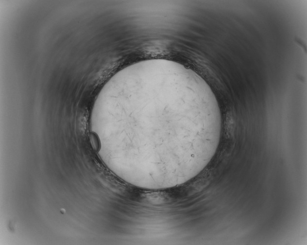 X0000102870417200809081210