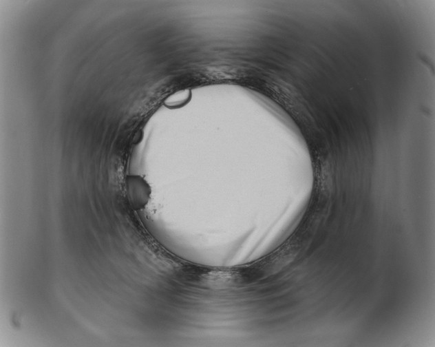 X0000102870418200809081210