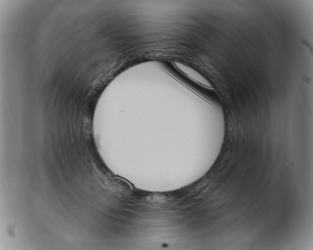 X0000102870419200809081210