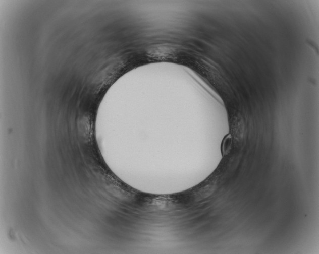 X0000102870420200809081210