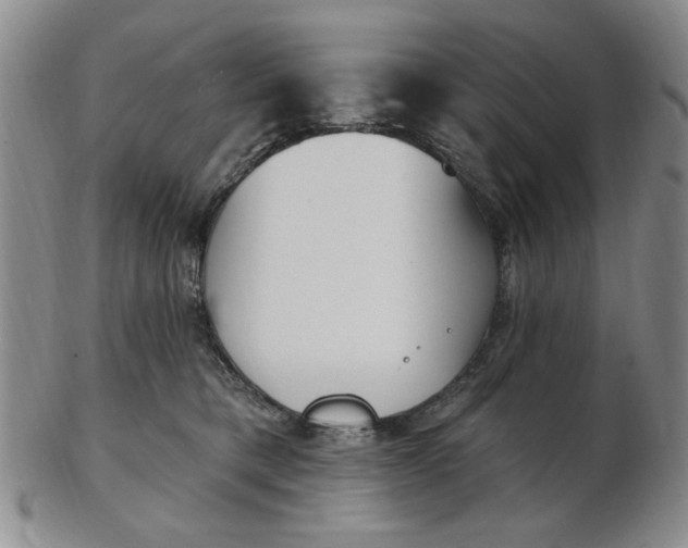 X0000102870421200809081210