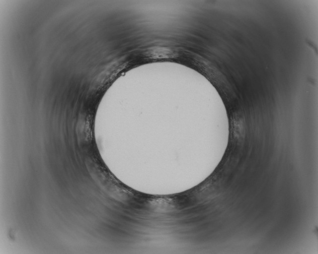 X0000102870422200809081210