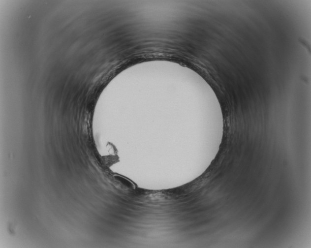 X0000102870423200809081210