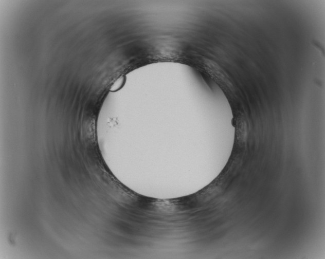 X0000102870425200809081210