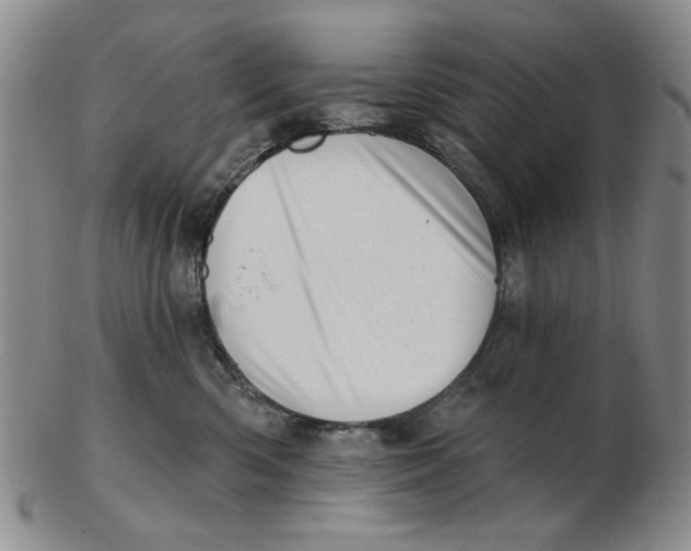 X0000102870426200809081210