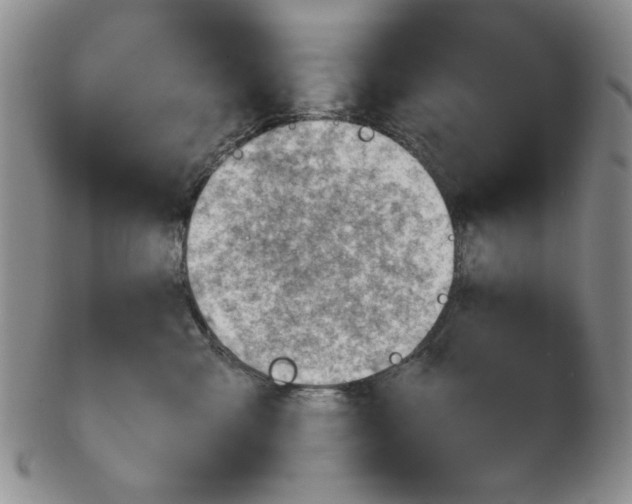 X0000102870427200809081210