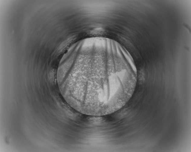 X0000102870428200809081210