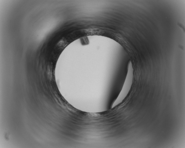 X0000102870429200809081210