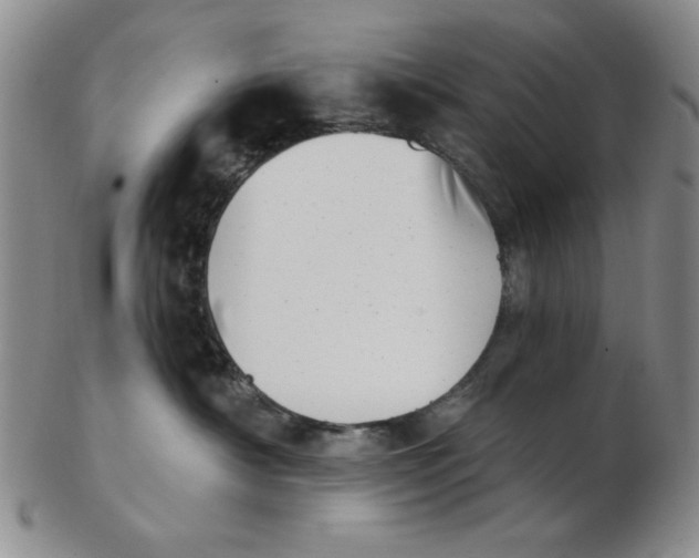 X0000102870430200809081210