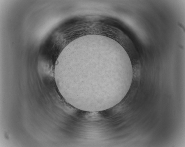 X0000102870431200809081210