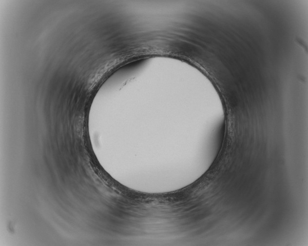 X0000102870434200809081209