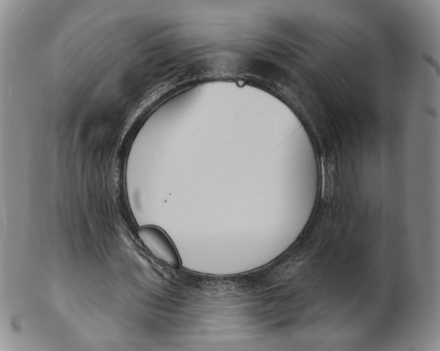 X0000102870435200809081209