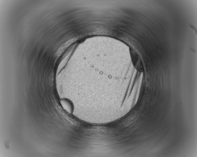 X0000102870437200809081209