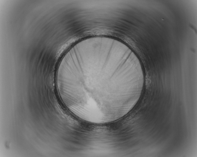 X0000102870438200809081209