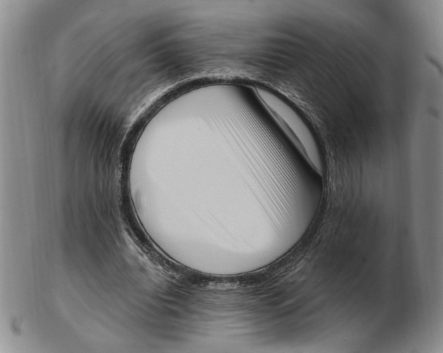 X0000102870440200809081209