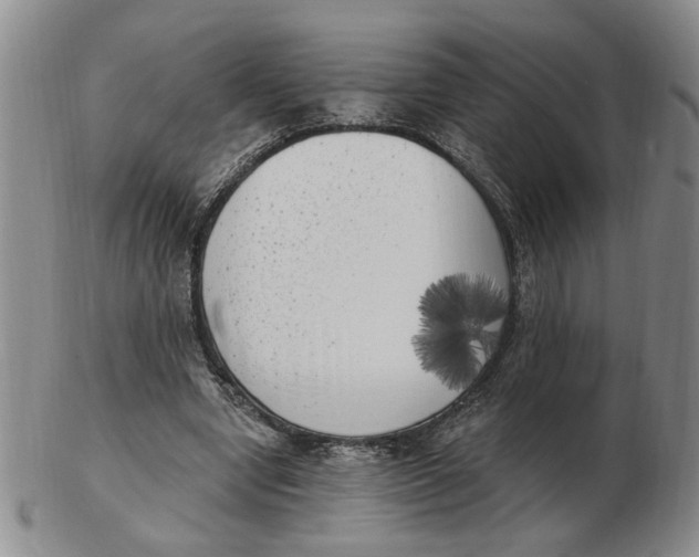 X0000102870442200809081209