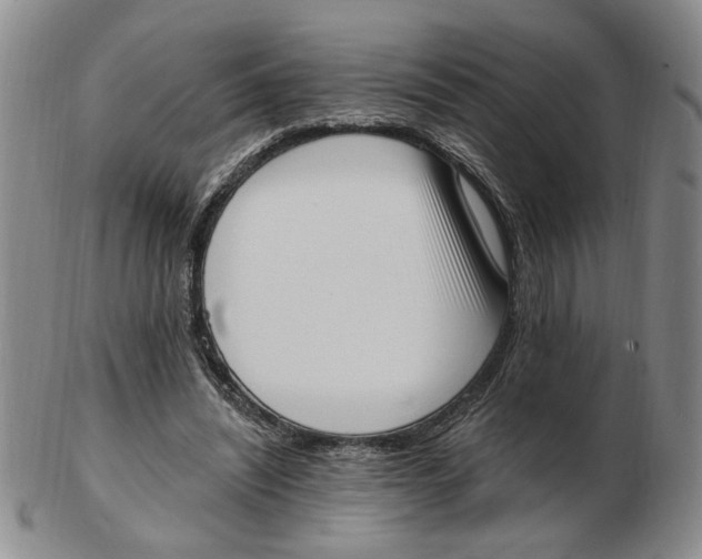 X0000102870444200809081209