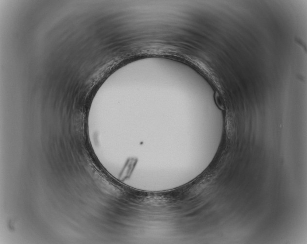 X0000102870445200809081209