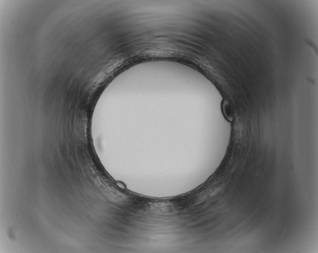 X0000102870446200809081209