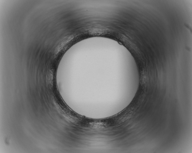 X0000102870448200809081209